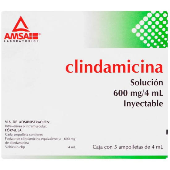 Clindamicina-600-mg4ml-x-1-ampolla
