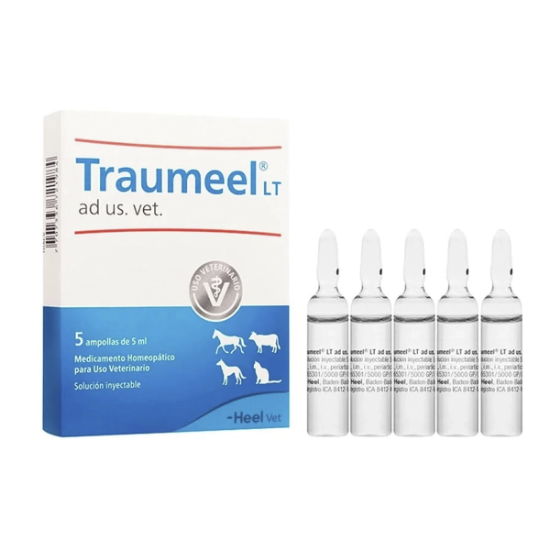 Imagen de TRAUMEEL AD USO VETERINARIO X 5 AMPOLLAS 5 ML