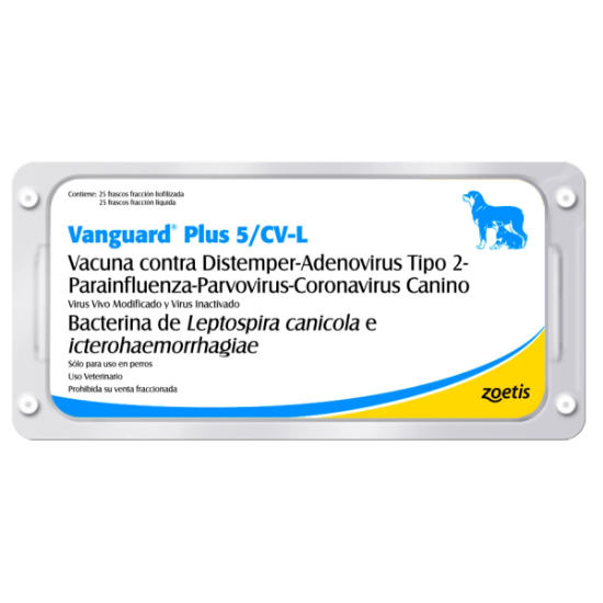 Imagen de VET (MV) VANGUARD PLUS 5/CV-L 25 VIALES MONODOSIS X 1ML