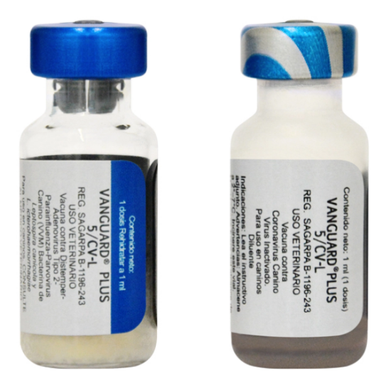Imagen de VET (MV) VANGUARD PLUS 5/CV-L 1 VIAL MONODOSIS X 1 ML